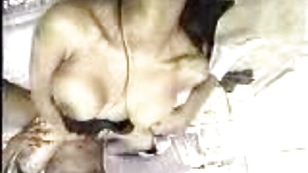 برده زشت موهای سیاه با الاغ آویزان فیلم سکسی زن عرب به میله چوبی متصل می شود
